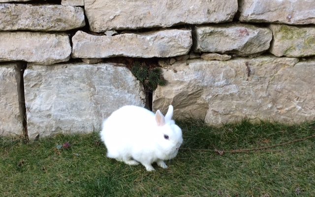 Kurzurlaub Ostern München eine schöne Abwechslung